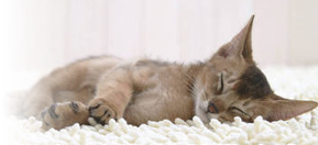 ぬくぬくって？